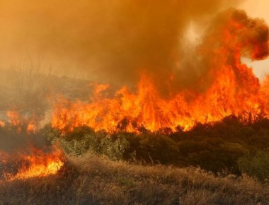 Δύο Έλληνες συνελήφθησαν για τις πυρκαγιές σε Αλεξανδρούπολη και Ρέθυμνο